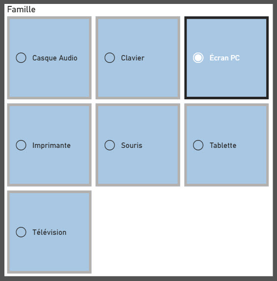 Exemple de Segment de bouton Power BI
